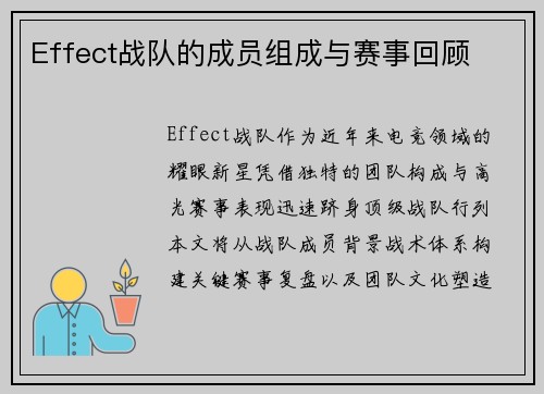 Effect战队的成员组成与赛事回顾