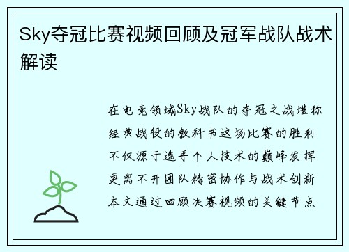 Sky夺冠比赛视频回顾及冠军战队战术解读